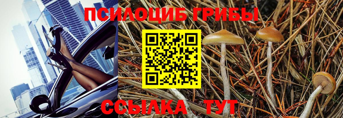Галлюциногенные грибы Magic Shrooms Кимры